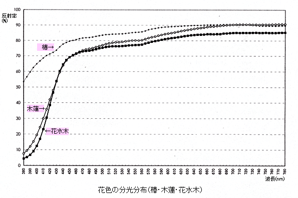 花色の分光分布（椿・木蓮・花水木）