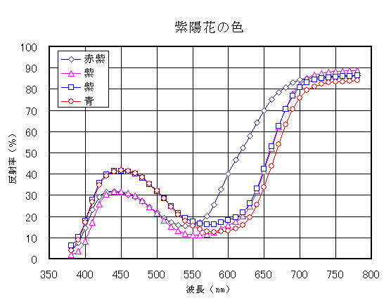 紫陽花の分光分布図