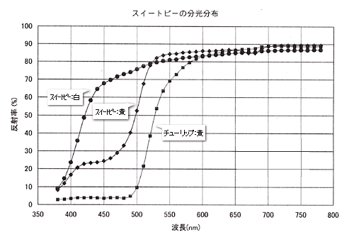 スイートピーの分光分布図