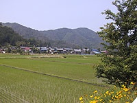 田園景観