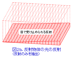 図2b. 反射物体の光の反射