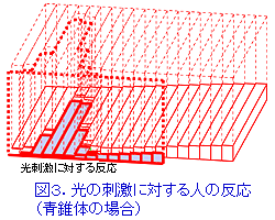 図3. 光の刺激に対する人の反応