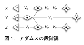 図1.アダムスの段階説