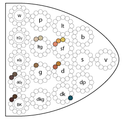 Dゾーンのトーン図