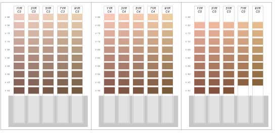 第3版　肌色色票「スキントーンカラー」